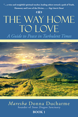 The Way Home to Love by Maresha Donna Ducharme